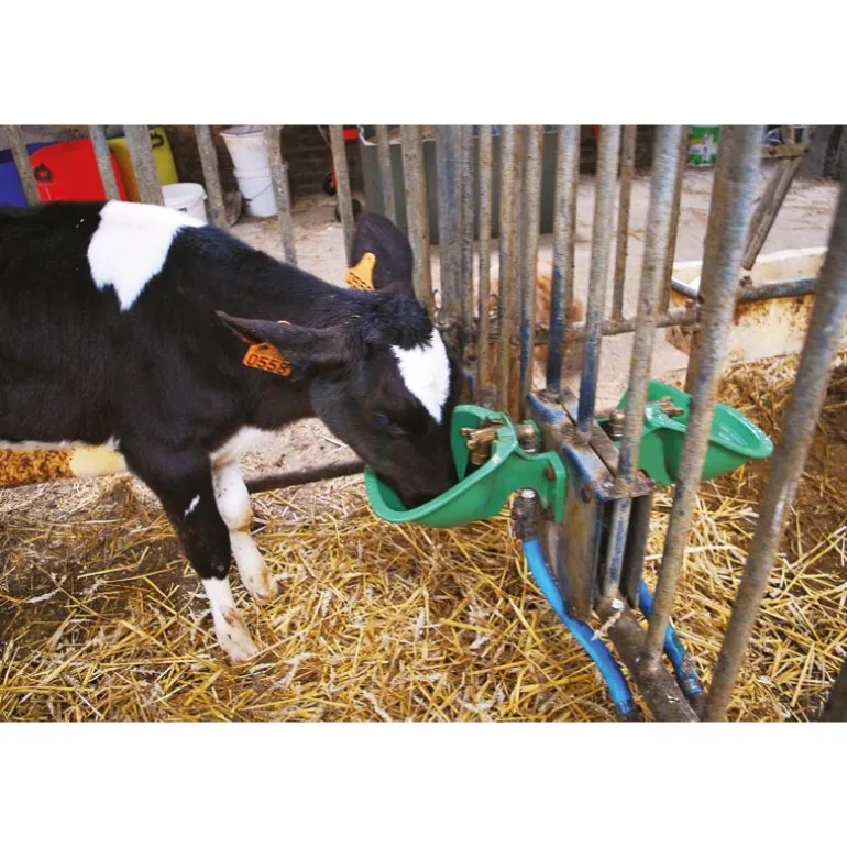 Abreuvoir PF1 POLYFIRST