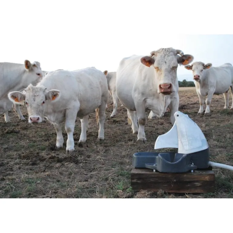 Abreuvoir Pompe de prairie POLYPUMP bol