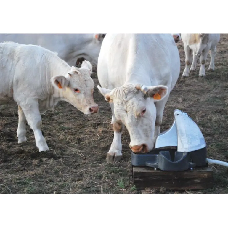 Abreuvoir Pompe de prairie POLYPUMP bol