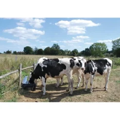 Abreuvoir Pompe de prairie POLYPUMP