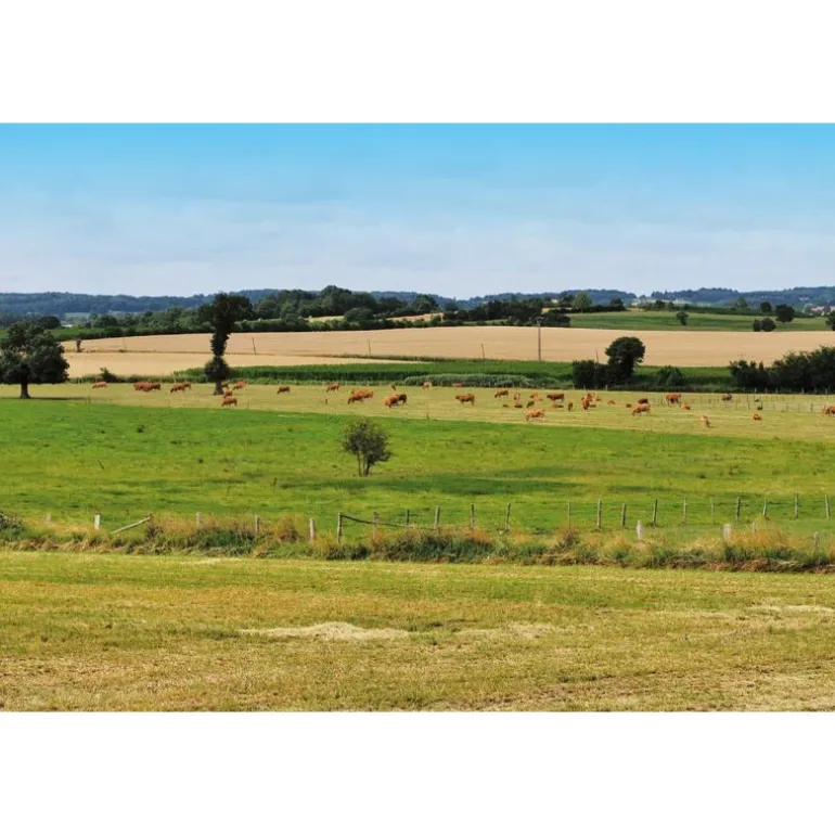 Citerne monobloc rectangulaire 5000 L