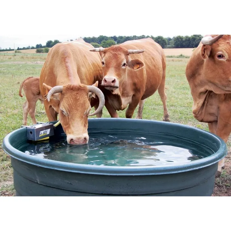 Coffre inox non déporté avec robinet flotteur pression du réseau