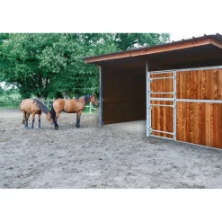 Extension abri de prairie simple pente SP 4x4 m