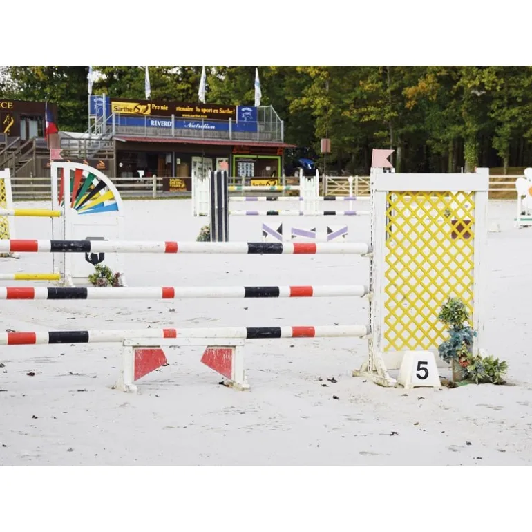 Jeu de plots avec autocollants pour parcours d'obstacles