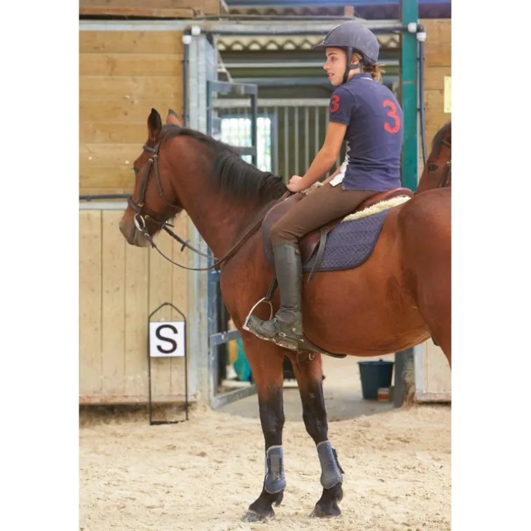 Jeu lettres de dressage sur support métallique