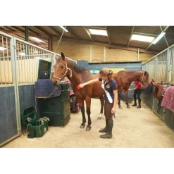 Malle de concours verticale chevaux de selle