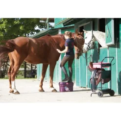 Malle de pansage BOX COLORS