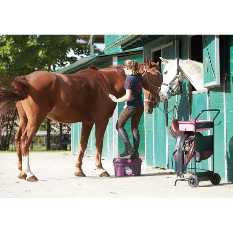 Malle de pansage BOX COLORS