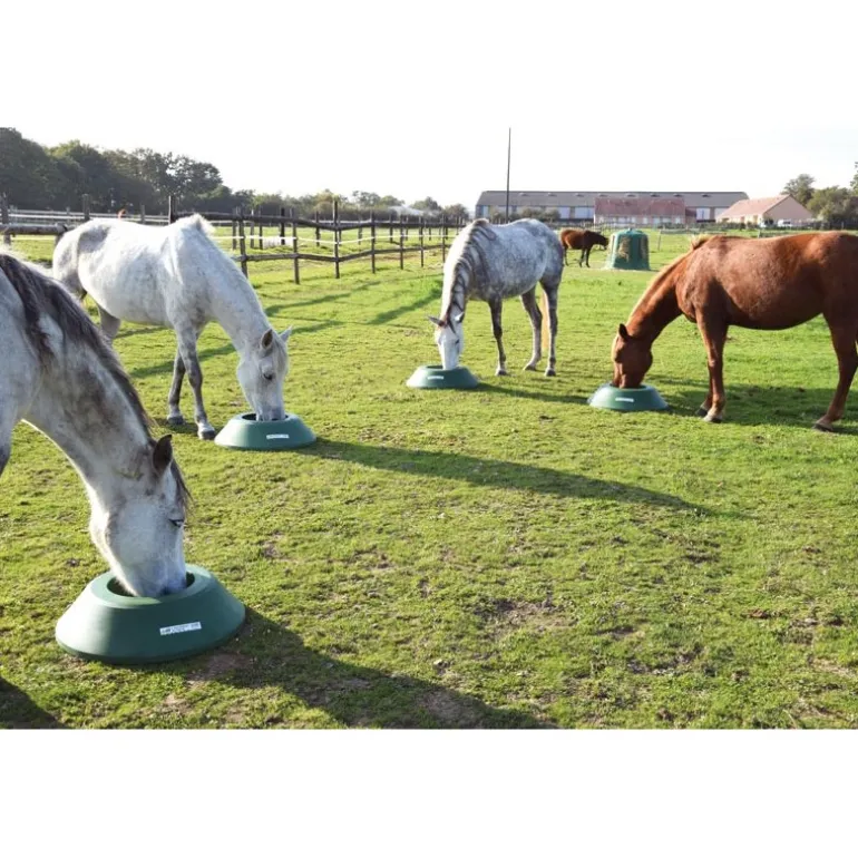 Mangeoire de prairie circulaire à lester