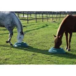 Mangeoire de prairie circulaire à lester