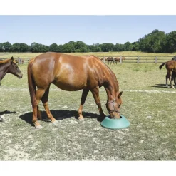 Mangeoire de prairie circulaire à lester