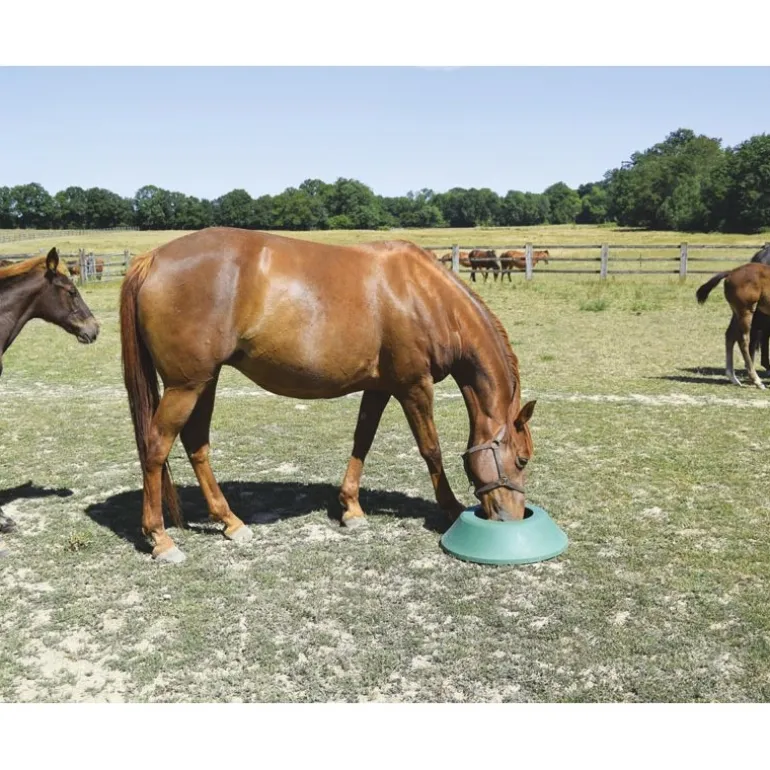 Mangeoire de prairie circulaire à lester