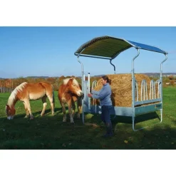 Râtelier de prairie métallique à feston RTF