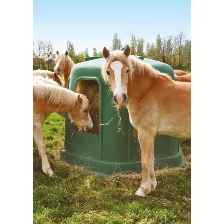 Râtelier de prairie RPE GM sans fond