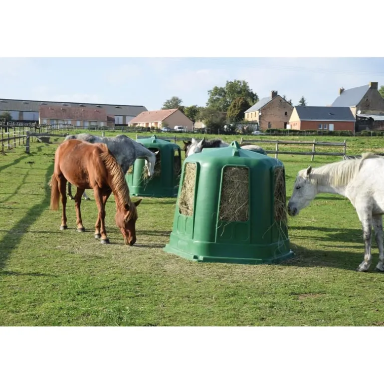 Râtelier de prairie RPE PM avec fond