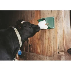 Support pour pierre à sel 5 à 10 kg