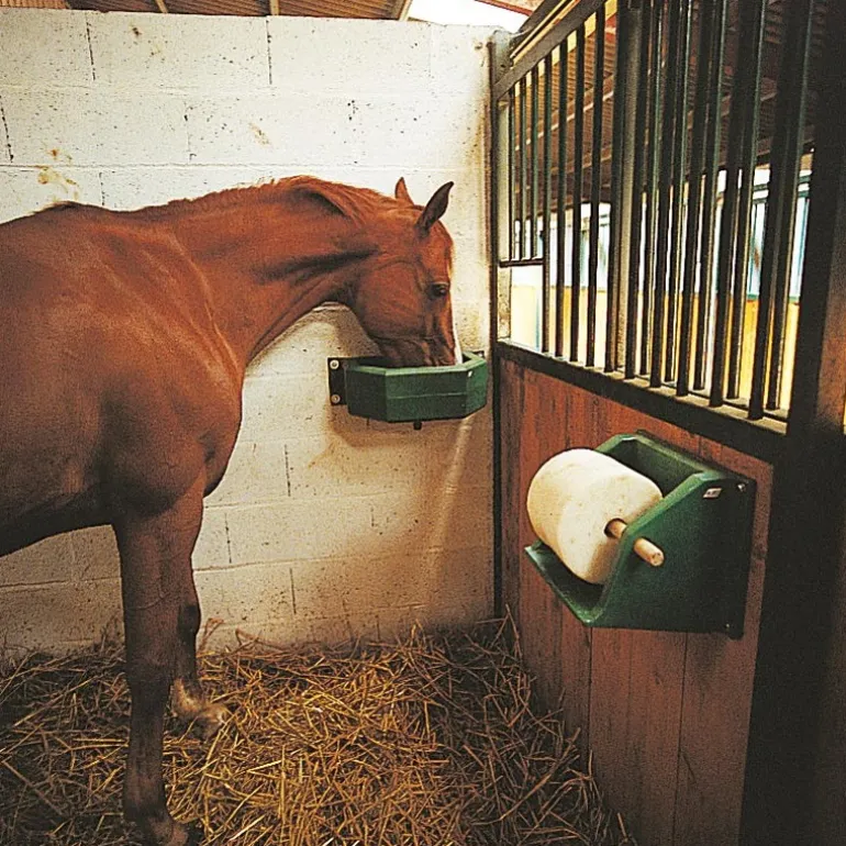 Support pour pierre à sel 5 à 10 kg