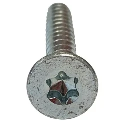 Vis pour remplissage bois